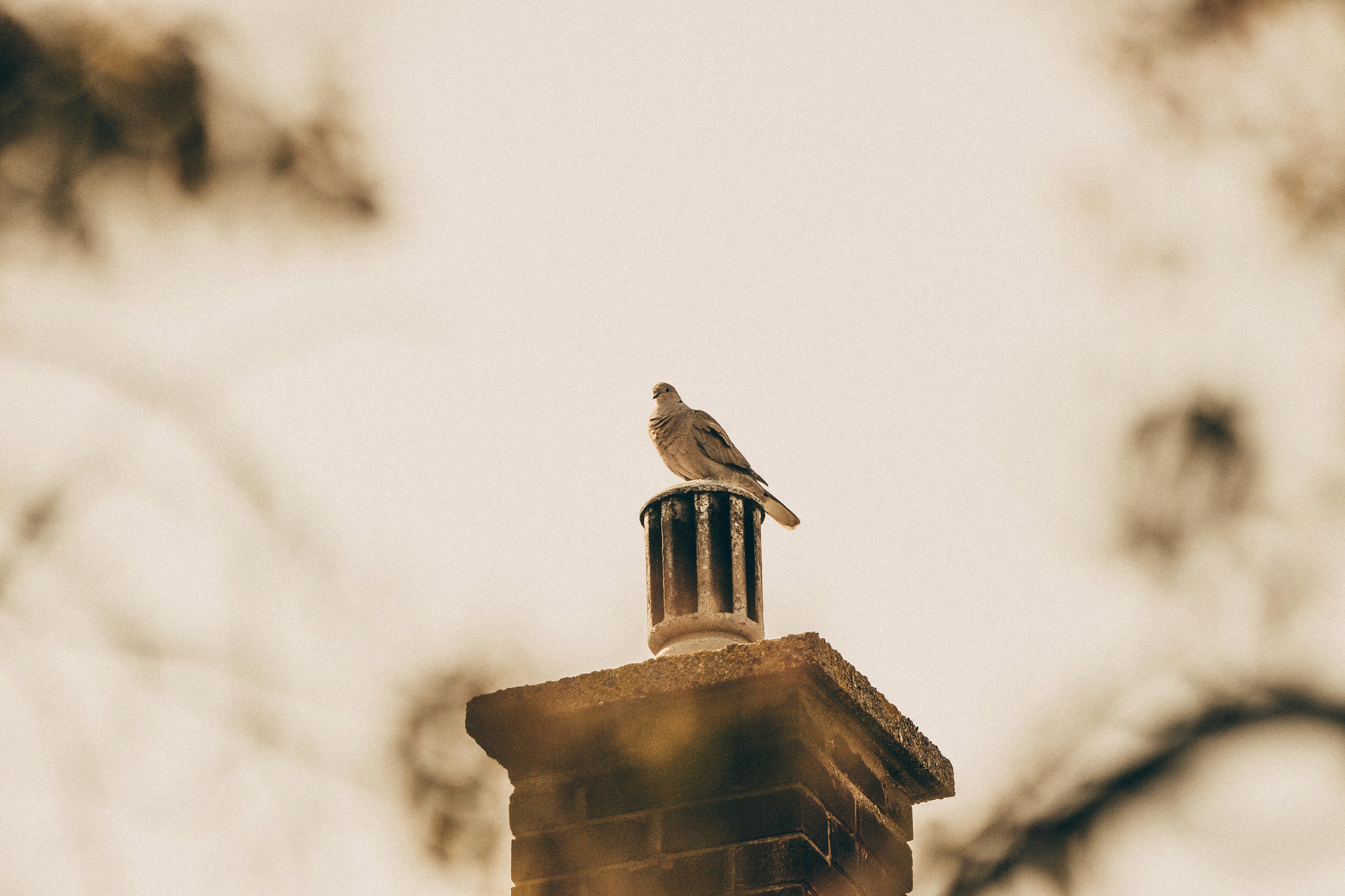 Quality Chimney Caps and Dampers Installation in Villa Park, IL Professional Chimney Cap and Damper In Villa Park Illinois